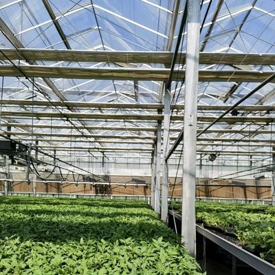 Sistema de vegetação hidropônico de estufa de vidro moderno multi-espans para o mercado multi-espans