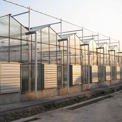 Plantio de árvores de vegetais Sistema de tela de sombra múltipla Estufa em estrutura de aço