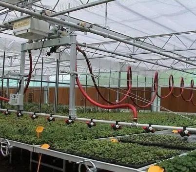 Plantio de árvores de vegetais Sistema de tela de sombra múltipla Estufa em estrutura de aço