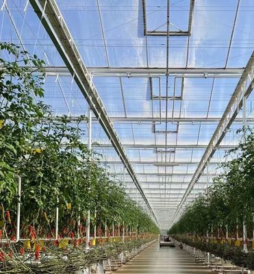 Plantio de árvores de vegetais Sistema de tela de sombra múltipla Estufa em estrutura de aço