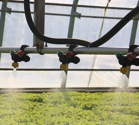 Plantio de árvores de vegetais Sistema de tela de sombra múltipla Estufa em estrutura de aço