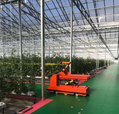 Sistema de cultivo hidropónico em estufa comercial JX-h0075 para a produção de vegetais