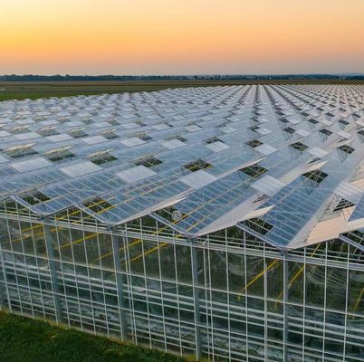 Sistema de cultivo hidropónico em estufa comercial JX-h0075 para a produção de vegetais