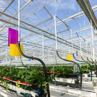 Sistema hidropónico de telhado para vegetais de estufa de vidro