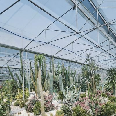 Sistema hidropónico de telhado para vegetais de estufa de vidro