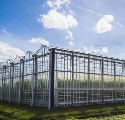 Estrutura de aço Sistema de cultivo hidropônico Venlo para cultivo hidropónico de vegetais