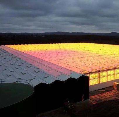 Estrutura de aço Sistema de cultivo hidropônico Venlo para cultivo hidropónico de vegetais