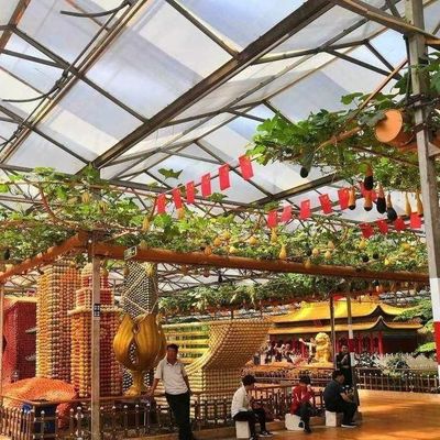 Projetos inovadores e estufas de vidro hidropónicas inovadoras para o cultivo de vegetais