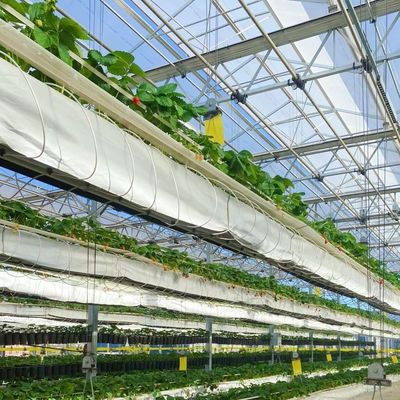 Sistema de cultivo hidropônico Estufas de vidro para telhados de camadas duplas