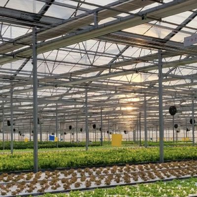 Sistema de cultivo hidropônico Estufas de vidro para telhados de camadas duplas