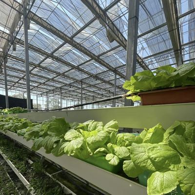 Sistema de cultivo hidropônico Estufas de vidro para telhados de camadas duplas