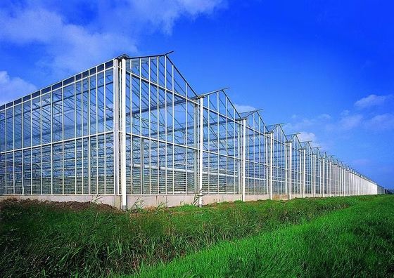 80.000kg Pacote Peso Bruto Estufas de vidro com hidroponia e custo de envio