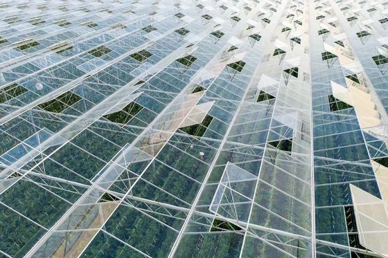 80.000kg Pacote Peso Bruto Estufas de vidro com hidroponia e custo de envio
