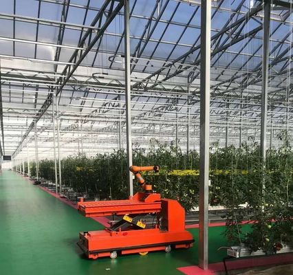Estufas para plantação de vegetais de duas camadas com irrigação por gotejamento e estrutura de aço