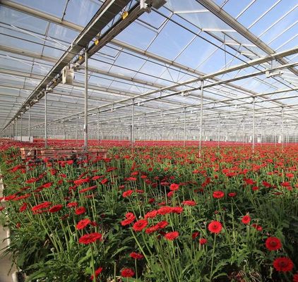 Estufas para plantação de vegetais de duas camadas com irrigação por gotejamento e estrutura de aço