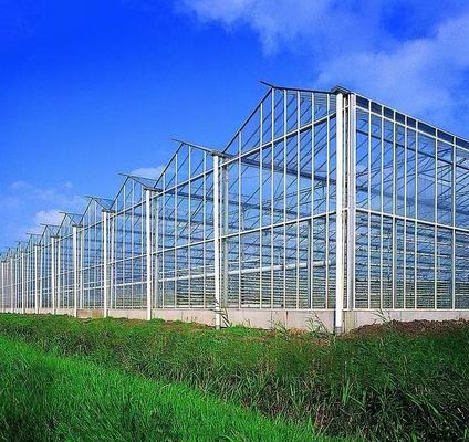 Estufas para plantação de vegetais de duas camadas com irrigação por gotejamento e estrutura de aço