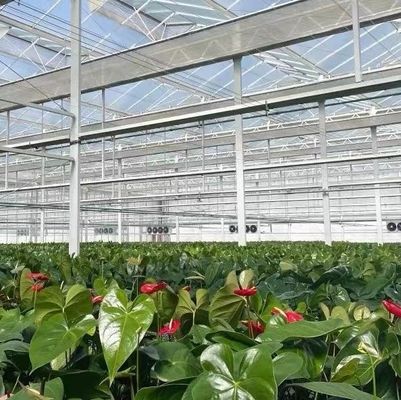 Estufas para plantação de vegetais de duas camadas com irrigação por gotejamento e estrutura de aço