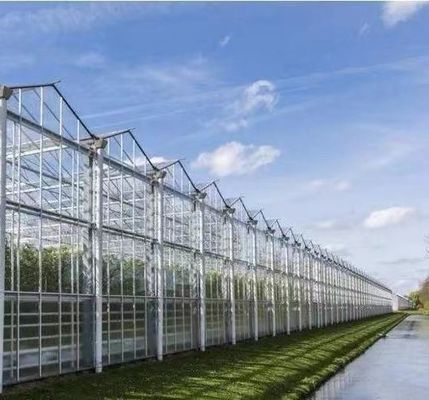 Estufas para plantação de vegetais de duas camadas com irrigação por gotejamento e estrutura de aço