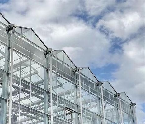 Tipo de sistema de cultivo hidropônico de telhado adequado às exigências do seu cliente