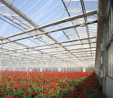 Tipo de sistema de cultivo hidropônico de telhado adequado às exigências do seu cliente