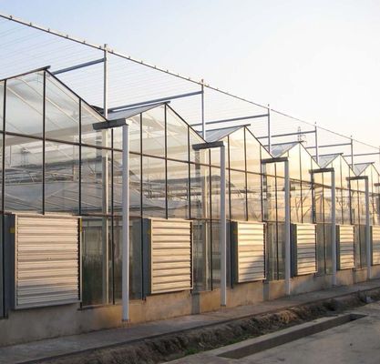Tipo de sistema de cultivo hidropônico de telhado adequado às exigências do seu cliente