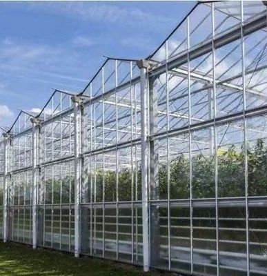 Tipo de sistema de cultivo hidropônico de telhado adequado às exigências do seu cliente