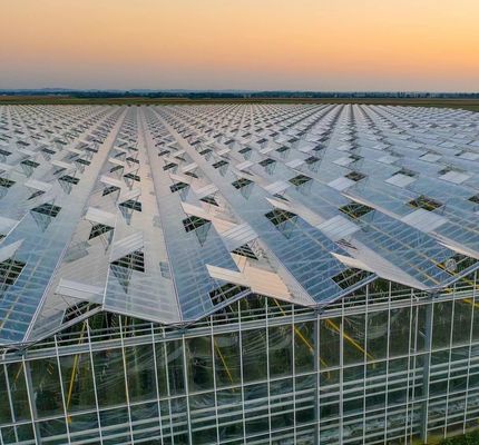 Tipo de sistema de cultivo hidropônico de telhado adequado às exigências do seu cliente