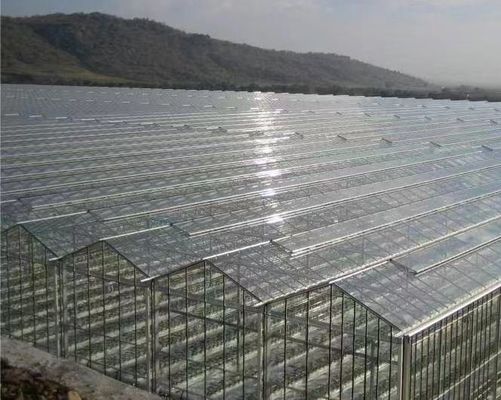 Boa transmissão de luz Cobre de vidro Venlo Estufas com opção de personalização