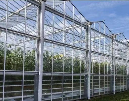 Boa transmissão de luz Cobre de vidro Venlo Estufas com opção de personalização