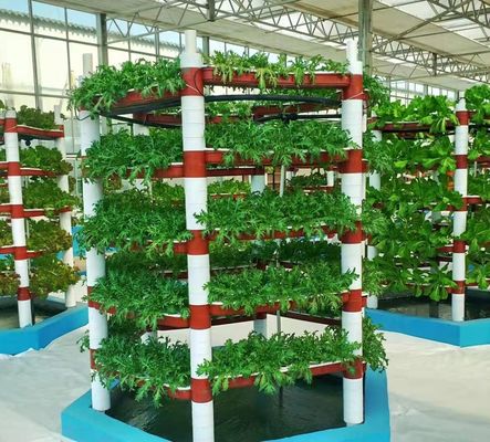Ambiente controlado para sementes/vegetais/frutas/flores Estufas hidropónicas
