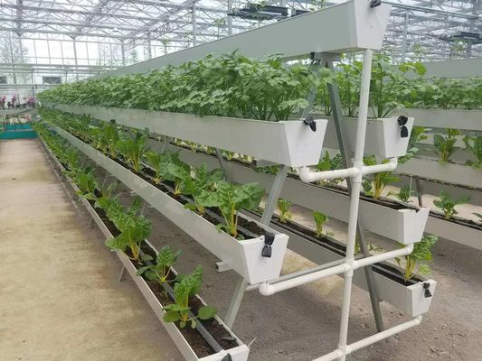 Ambiente controlado para sementes/vegetais/frutas/flores Estufas hidropónicas