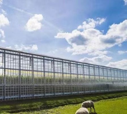 Ambiente controlado para sementes/vegetais/frutas/flores Estufas hidropónicas