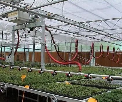 Ambiente controlado para sementes/vegetais/frutas/flores Estufas hidropónicas