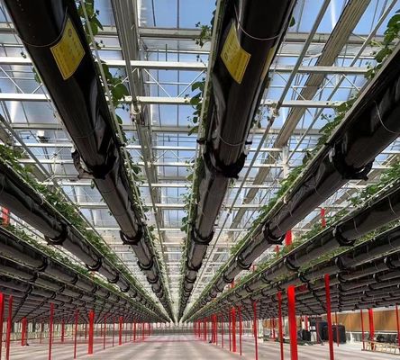 Estrutura de sementeira hidropônica anti-gotejamento e neblina perfeita para as exigências do cliente