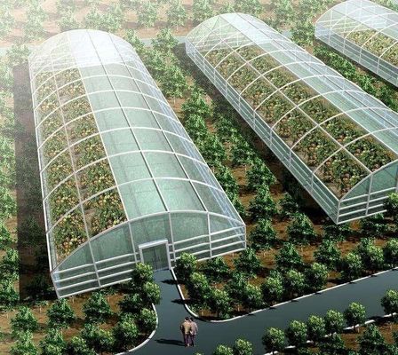 Método de cultivo Hidroponia Estudos Unidos Estufa de vidro regulamentada para vegetais/flores/frutas
