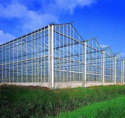 Método de cultivo Hidroponia Estudos Unidos Estufa de vidro regulamentada para vegetais/flores/frutas