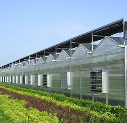 Método de cultivo Hidroponia Estudos Unidos Estufa de vidro regulamentada para vegetais/flores/frutas