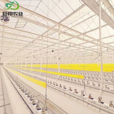 Frigorífico de folha de policarbonato Frigorífico Rdgu0808h-10mm com US e equipamentos agrícolas