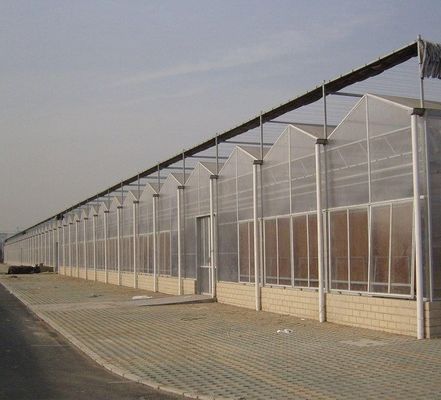 Frigorífico de folha de policarbonato Frigorífico Rdgu0808h-10mm com US e equipamentos agrícolas