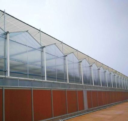 Frigorífico de folha de policarbonato Frigorífico Rdgu0808h-10mm com US e equipamentos agrícolas
