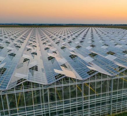 Frigorífico de folha de policarbonato Frigorífico Rdgu0808h-10mm com US e equipamentos agrícolas