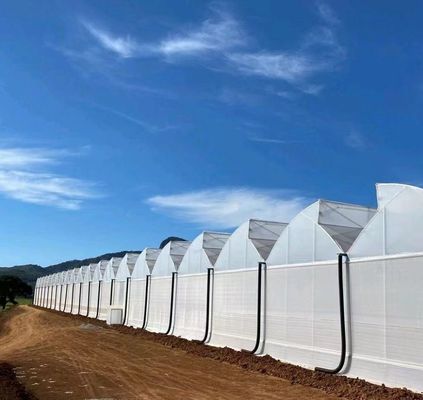 Sistema de sementeira hidropônica para agricultura com telhado de camada dupla de plástico