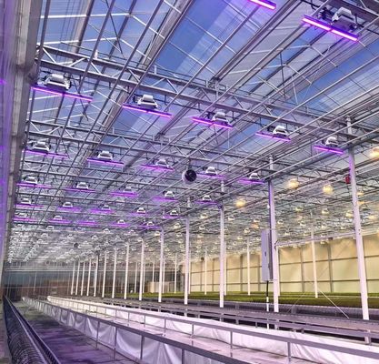 Sistema de sementeira hidropônica para agricultura com telhado de camada dupla de plástico