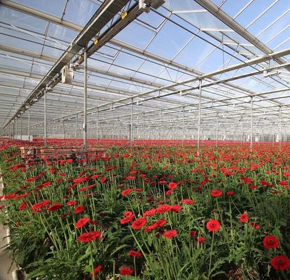 Sistema de sementeira hidropônica para agricultura com telhado de camada dupla de plástico