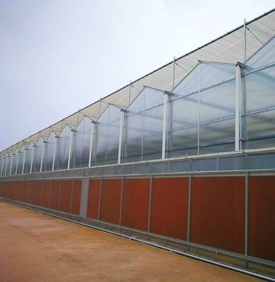 Sistema de sementeira hidropônica para agricultura com telhado de camada dupla de plástico