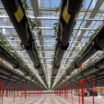 Sistema de sementeira hidropônica para agricultura com telhado de camada dupla de plástico